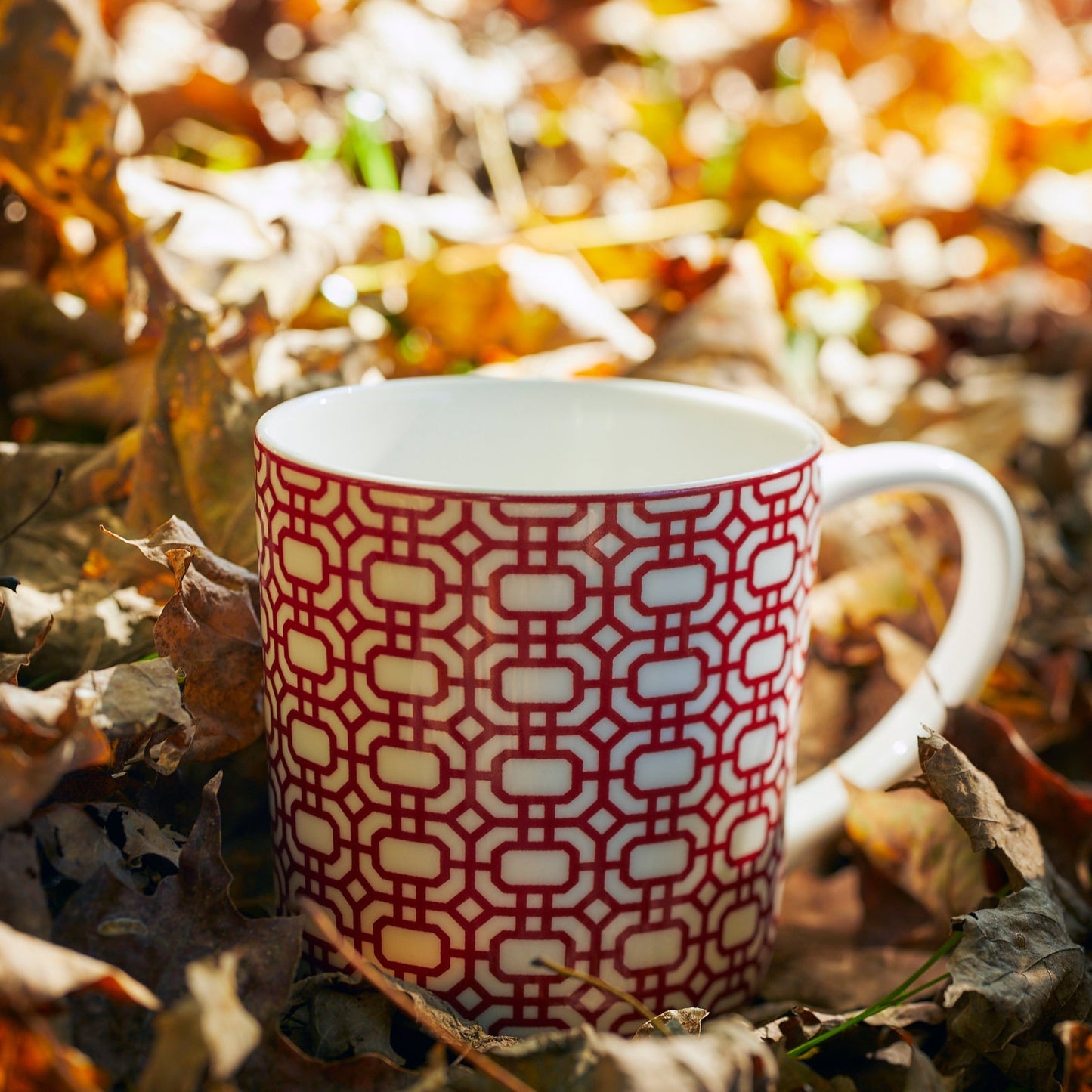 Caskata Newport Garden Gate Crimson Mug