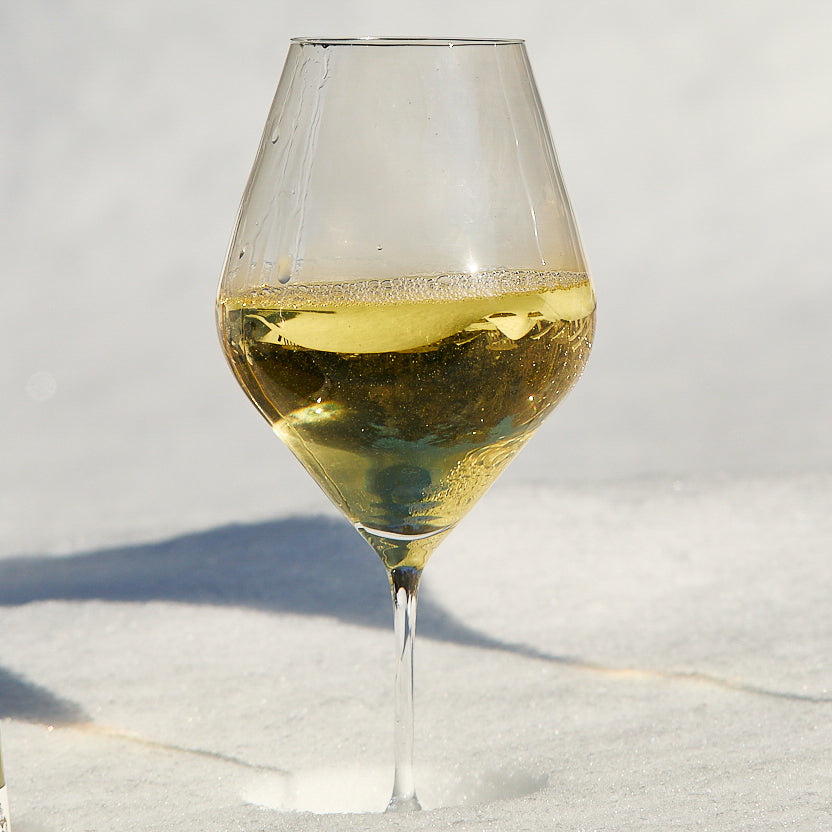 Library White Wine Glasses, Set of 4