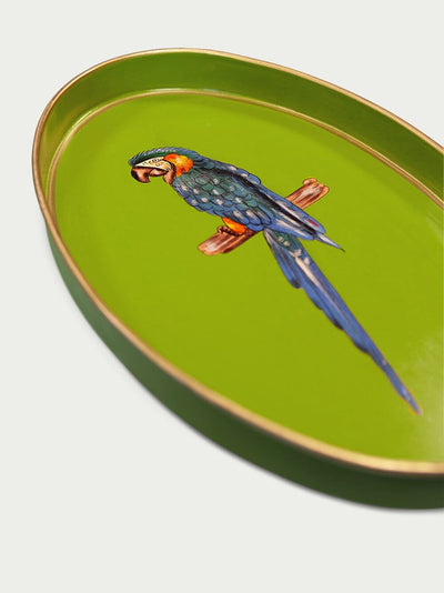 Les Ottomans Fauna Hand-painted Iron Tray - Green Parrot