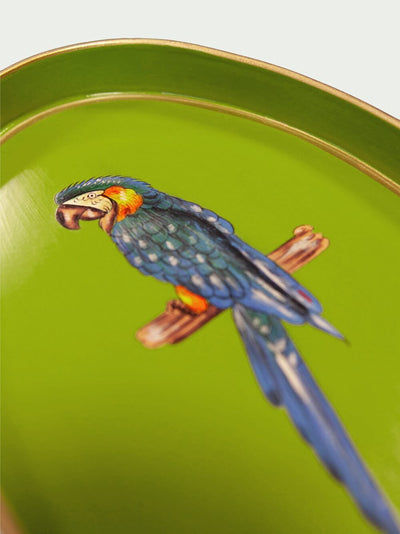 Les Ottomans Fauna Hand-painted Iron Tray - Green Parrot